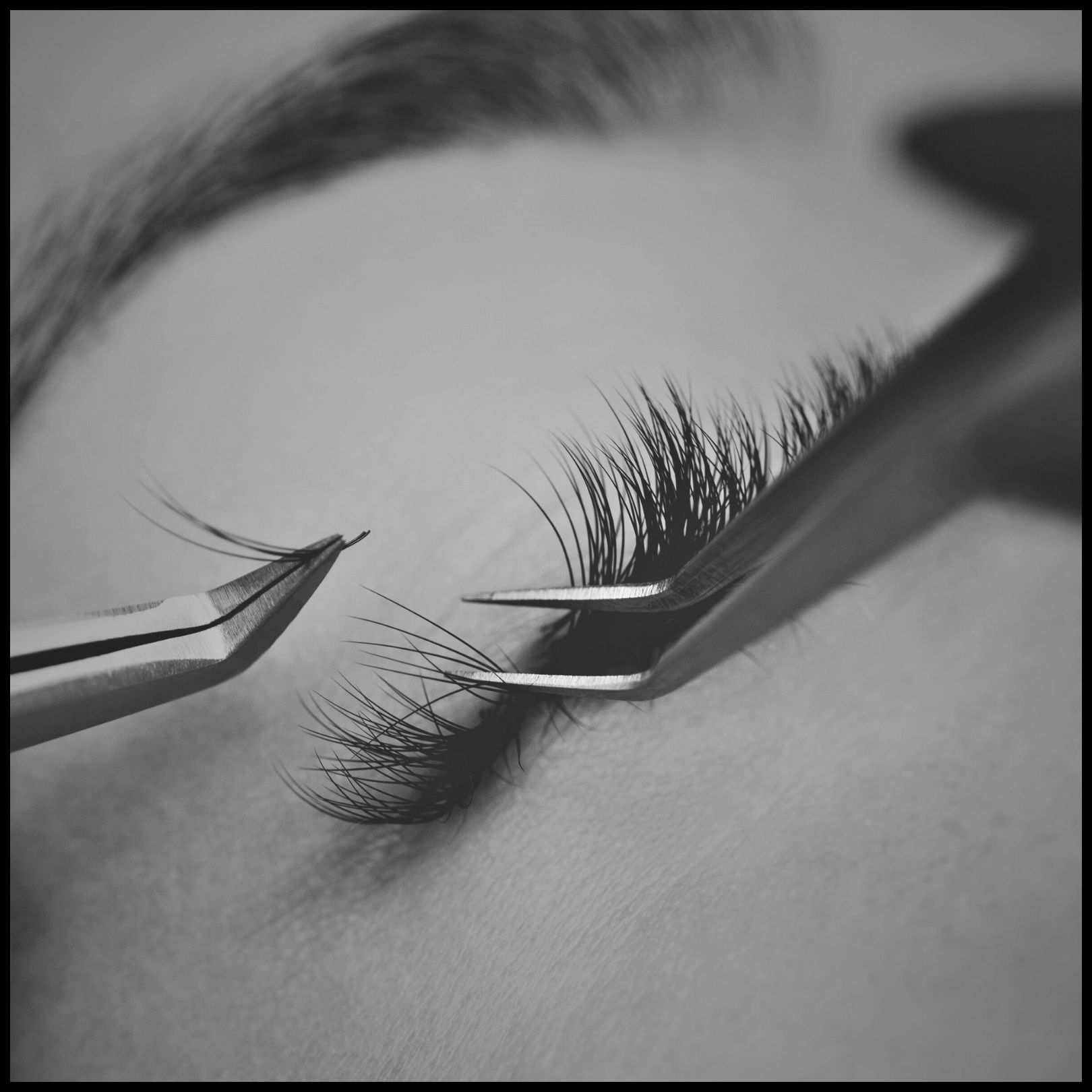 Lashes by She Shed Collective